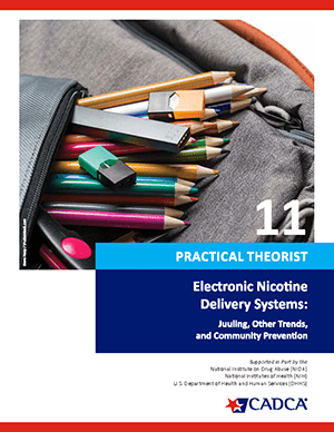 Practical Theorist 11 