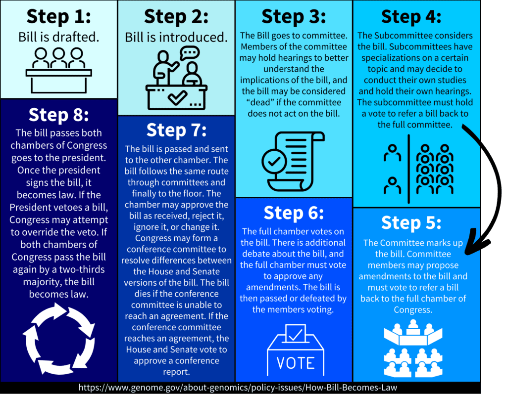 The Legislative Process Cadca